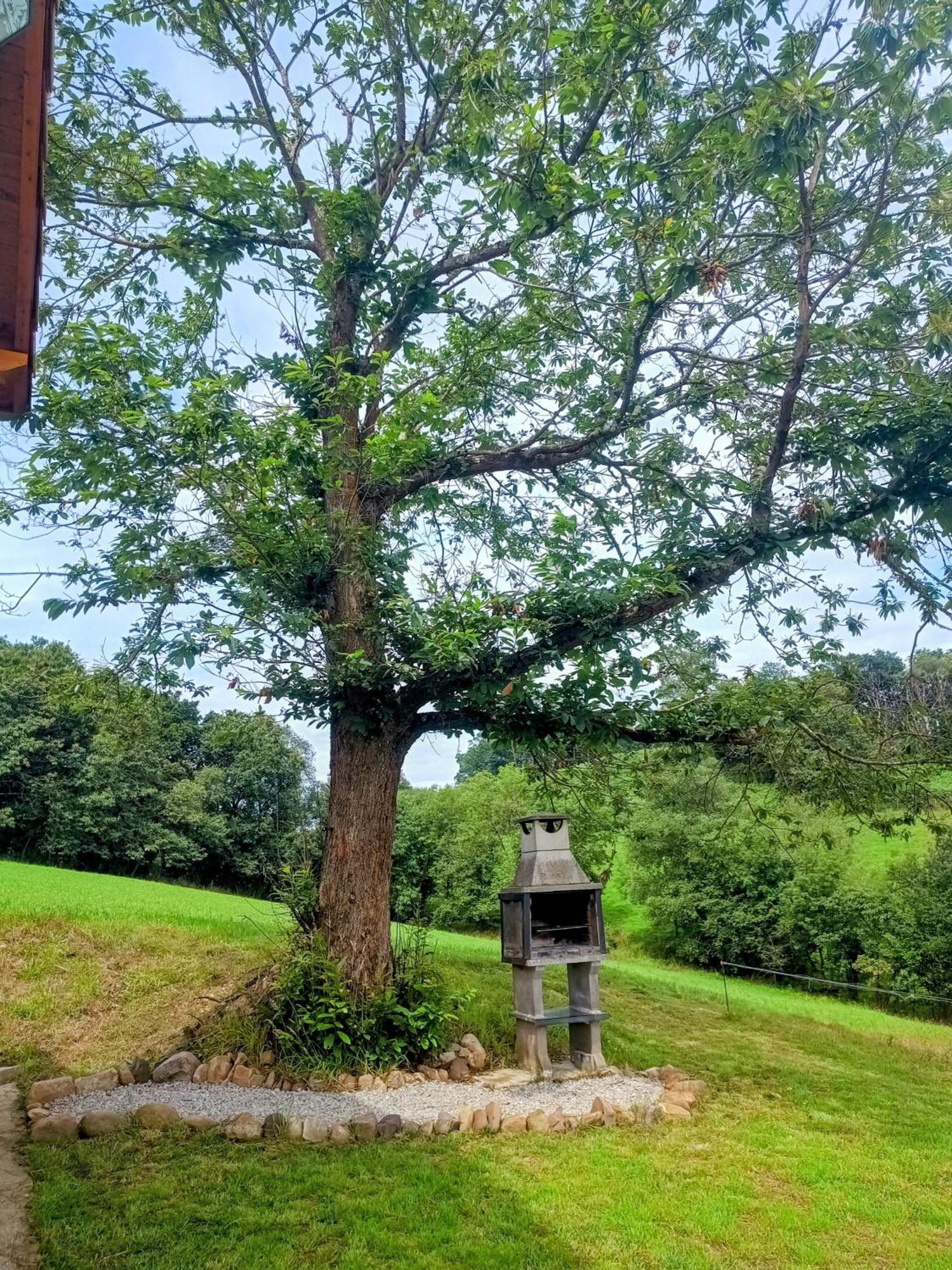 Casa Rural Tulia 格拉多 外观 照片